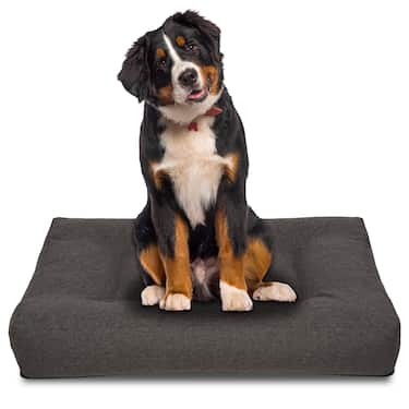 100 x 80 x 19 cm Petzzz coussin ergonomique pour chien Milo taille L
