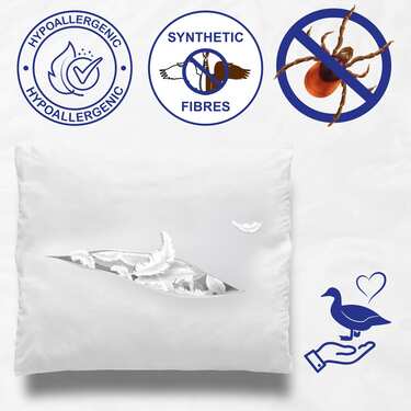 10 x CloudComfort Basic oreillers en microfibre 80 x 80 cm