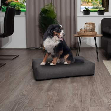 100 x 80 x 19 cm Petzzz coussin ergonomique pour chien Milo taille L