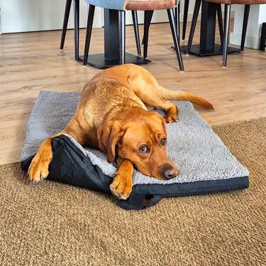 Tapete ergonómico para animais de estimação Petzzz Diva M 80 x 55 x 5 cm, dobrável, antiderrapante