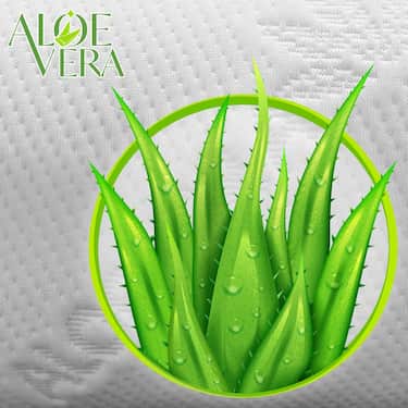 Genouillère et traversin Visco Aloe Vera avec mousse à mémoire de forme 40 x 15 cm