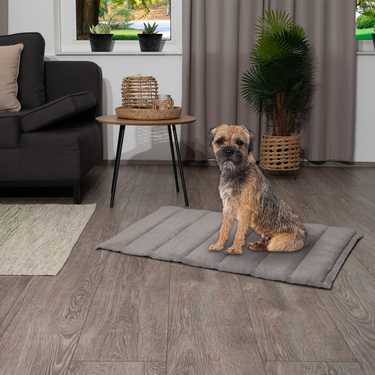 Petzzz Couverture pour chien Fred L 100 x 65 x 4 cm