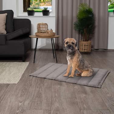 Petzzz Couverture pour chien Fred XL 120 x 80 x 4 cm