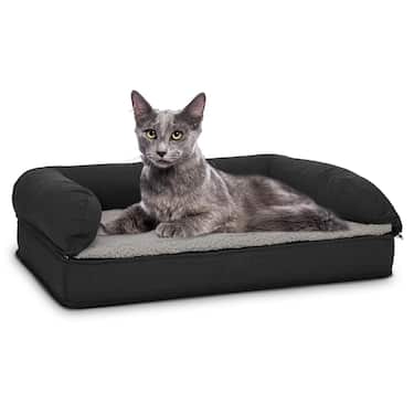 100 x 70 x 27 cm Lit orthopédique pour chien avec dossier taille M