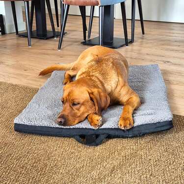 Tapete ergonómico para animais de estimação Petzzz Diva M 80 x 55 x 5 cm, dobrável, antiderrapante