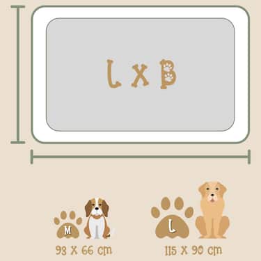 Petzzz lit ergonomique pour chien Daisy M 93 x 66 x 20 cm avec coussin intérieur orthopédique