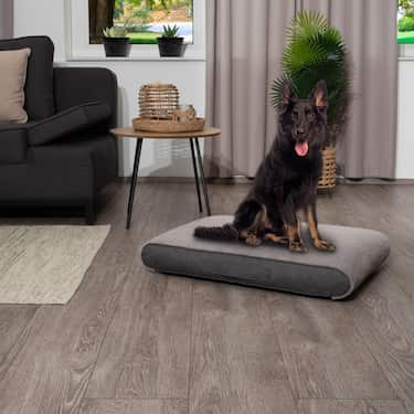 100 x 71 x 13 cm Petzzz coussin orthopédique pour chien Rocky taille L