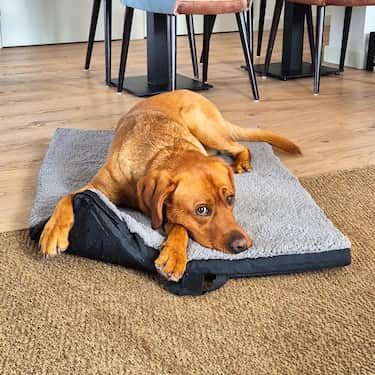 Tapete ergonómico para animais de estimação Petzzz Diva L 100 x 70x 5 cm, dobrável, antiderrapante