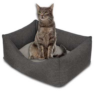 Petzzz Lit pour chat et chien Felix S 60 x 40 x 17 cm avec coussin intérieur réversible