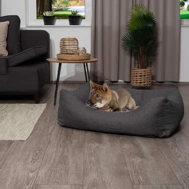 Petzzz Lit pour chien Lucky L 100 x 70 x 27 cm avec coussin intérieur orthopédique