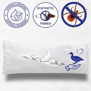 4 x CloudComfort Basic oreillers en microfibre 40 x 80 cm