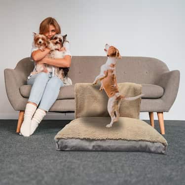 120 x 80 x 11 cm Tapis pour chiens en flocons de gel taille XL avec couverture amovible