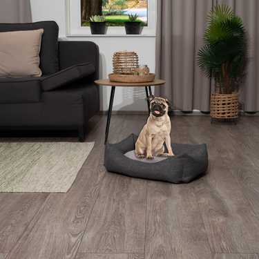 Petzzz Lit pour chat et chien Felix S 60 x 40 x 17 cm avec coussin intérieur réversible
