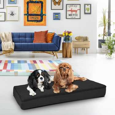 75 x 50 x 8 cm coussin ergonomique pour chien taille S, couleur noir