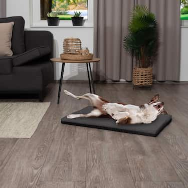 100 x 70 x 5 cm tapis viscoélastique pour chiens taille L