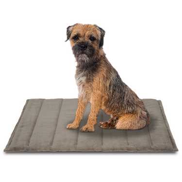 Petzzz Couverture pour chien Fred L 100 x 65 x 4 cm