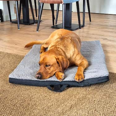 Tapete ergonómico para animais de estimação Petzzz Diva L 100 x 70x 5 cm, dobrável, antiderrapante