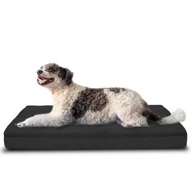 120 x 75 x 10 cm Petzzz coussin orthopédique pour chien taille XL couleur noir