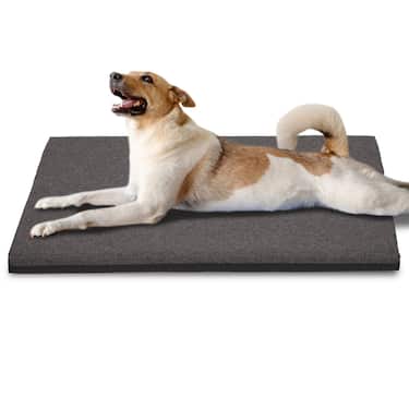 100 x 70 x 5 cm tapis viscoélastique pour chiens taille L