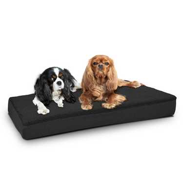 75 x 50 x 8 cm coussin ergonomique pour chien taille S, couleur noir