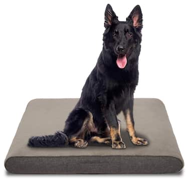 100 x 71 x 13 cm Petzzz coussin orthopédique pour chien Rocky taille L
