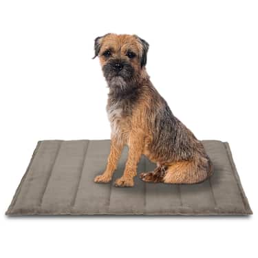 Petzzz Couverture pour chien Fred XL 120 x 80 x 4 cm
