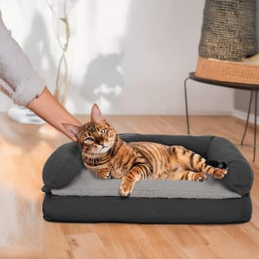 80 x 55 x 23 cm Lit orthopédique pour chien avec dossier taille M