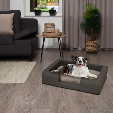 Petzzz lit ergonomique pour chien Daisy M 93 x 66 x 20 cm avec coussin intérieur orthopédique