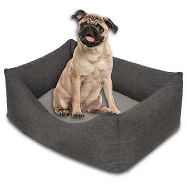 Petzzz Lit pour chat et chien Felix S 60 x 40 x 17 cm avec coussin intérieur réversible