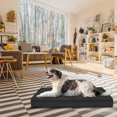 120 x 75 x 10 cm Petzzz coussin orthopédique pour chien taille XL couleur noir