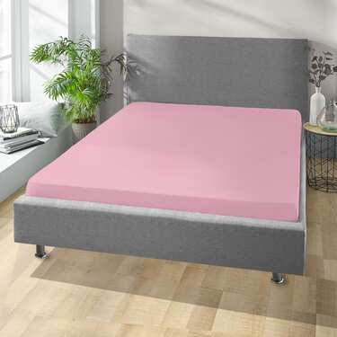 Lot de 4 draps-housses Setex REFIBRA en coton fin, rose, 180 x 200 cm