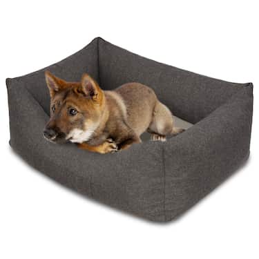 Petzzz Lit pour chien Lucky L 100 x 70 x 27 cm avec coussin intérieur orthopédique
