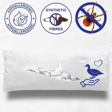 10 x CloudComfort Basic oreillers en microfibre 40 x 80 cm